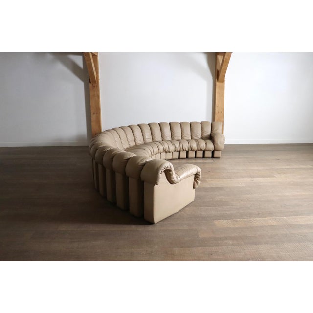 Mid-Century Modern DS 600 Modular Sofa in Leather by Heinz Ulrich, Ueli Berger and Eleanora Peduzzi-Riva for de Sede, 1970s, Set of 22 For Sale - Image 3 of 12
