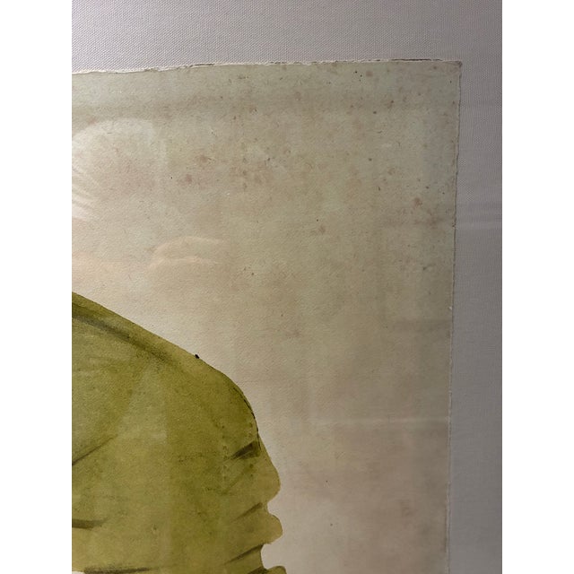 Illustration Oversized Natural Curiosities Harvey Seaweeds Botanical Print – Framed For Sale - Image 3 of 7
