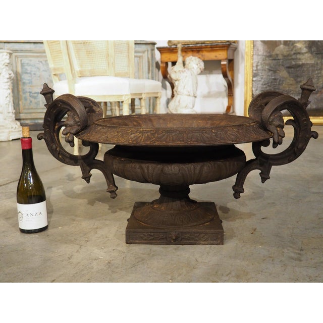 Brown A Large 19th Century French Cast Iron Vase With Double Scrolled Handles For Sale - Image 8 of 18