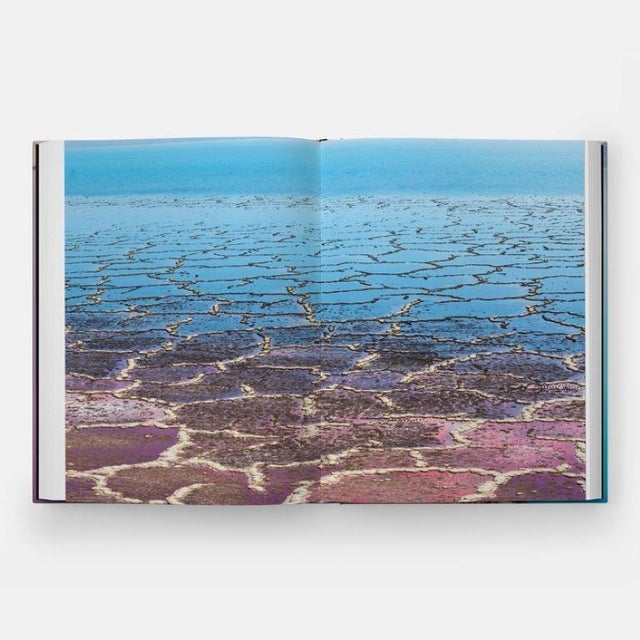 Entropy Book by Diane Tuft For Sale - Image 4 of 9