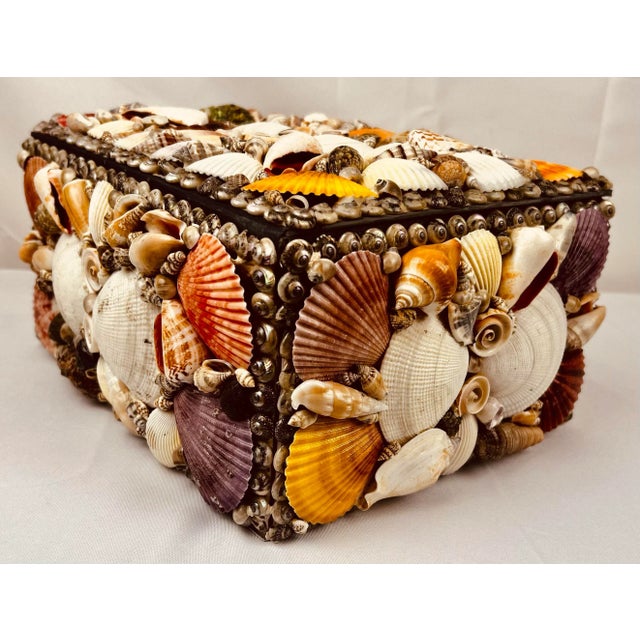 Shell Large Multi Colored Natural Sea Shell Covered Box-Hinged For Sale - Image 7 of 10