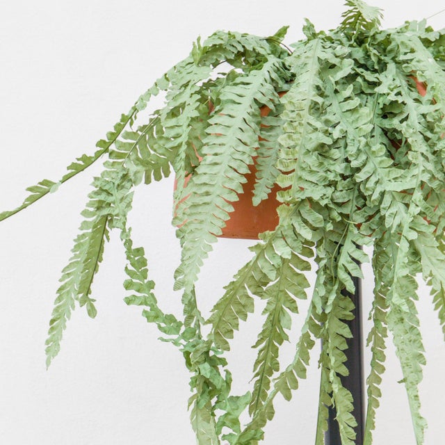 Designer: Orni Halloween, a pseudonym used by Ernesto Gismondi from 1974 until the mid-1990s to sign his Artemide designs....