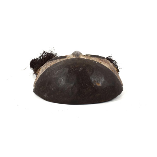 Wood Early 20th Century Ngbaka Mask with Beard For Sale - Image 7 of 7