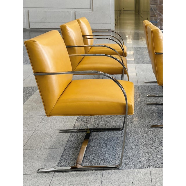 Chrome & Yellow Leather Chairs in the Style of Ludwig Mies Van Der Rohe & Lilly Reich - A Set of 6 For Sale In New York - Image 6 of 15