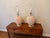 Elevate your space with this exquisite pair of postmodern 1980s table lamps, featuring a sculptural seashell motif....