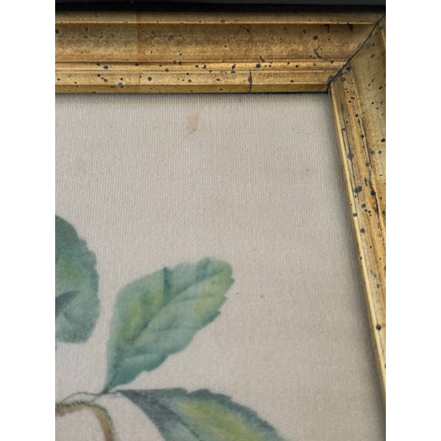 Mid 19th Century 19th-Century American Folk Art Fruit Still Life Theorem Paintings on Velvet - A Matched Pair, Signed Jr For Sale - Image 5 of 12