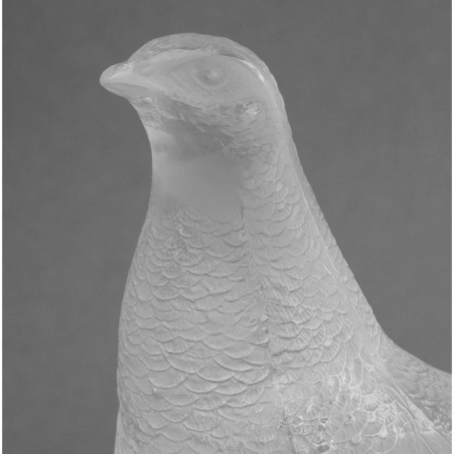Contemporary Lalique Crystal "Perdix" Sculptures, 4 For Sale - Image 3 of 15