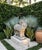 Stone Vintage Stylized Cast Stone Ram Garden Statue For Sale - Image 7 of 10