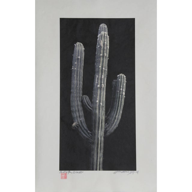 Cactus, Jonathan Singer, Photography For Sale - Image 4 of 4