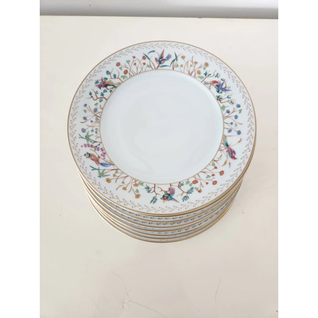 Set of Seven Tiffany Audubon dessert accent plates and one Tiffany Audubon salad plate. Currently the only set of Tiffany...