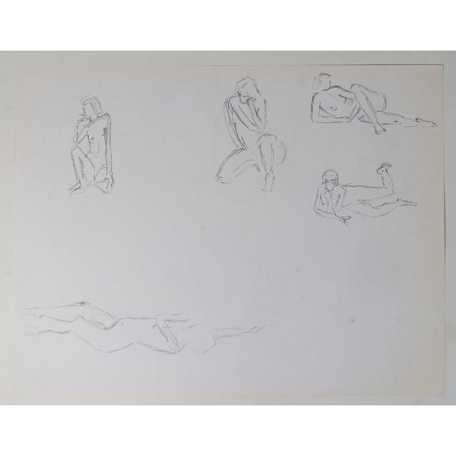 Evelyne Luez, Depicting Nude Women, 20th Century, Pencil on Paper For Sale - Image 5 of 9