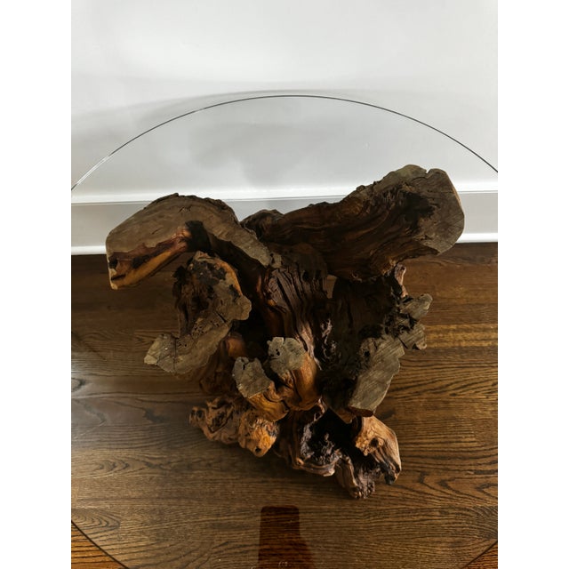 Vintage Burl Root Wood Coffee or Side Table With Glass Top For Sale In New York - Image 6 of 10