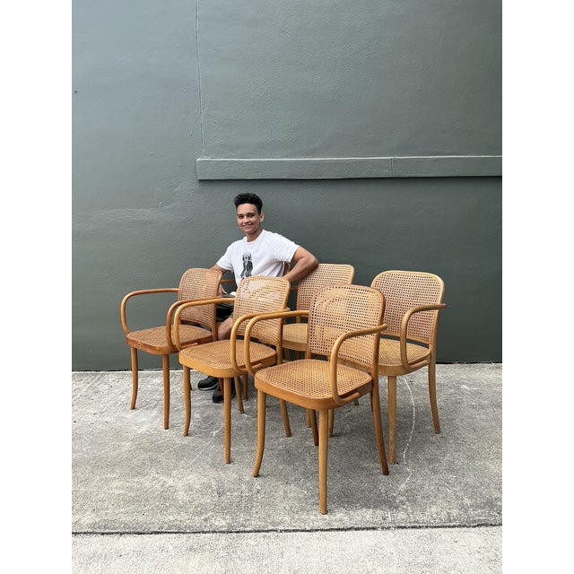 Stendig Vintage Stendig Bent Wood Cane Dining Chairs - Set of 6 For Sale - Image 4 of 16