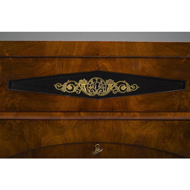 Early 19th Century Biedermeier Mahogany Commodes, 1830s For Sale - Image 4 of 18