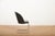 B247 Cantilever Chair in Chrome-Plated Tubular Steel and Black Lacquered Plywood attributed to Thonet, 1932 For Sale - Image 9 of 12