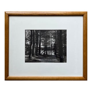"Thoreau's Walden Pond" Silver Gelatin Print-Custom Framed For Sale