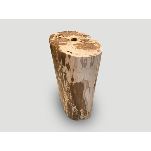 Andrianna Shamaris Ancient Petrified Wood Side Table For Sale In New York - Image 6 of 6