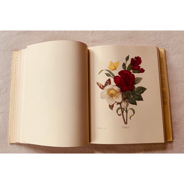Redouté "Beautiful Flowers and Fruits" | Large Format Botanical Book For Sale - Image 6 of 18