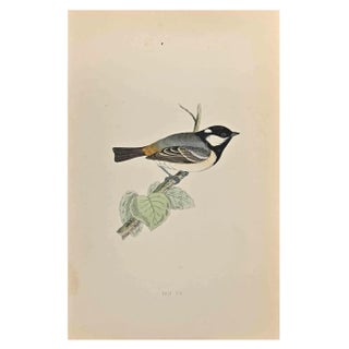 Alexander Francis Lydon, Cole Tit, Woodcut Print, 1870 For Sale