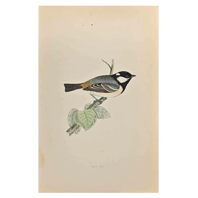 Alexander Francis Lydon, Cole Tit, Woodcut Print, 1870 For Sale