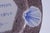Blue Ceramic Hand Crafted English Grace Plate For Sale - Image 8 of 13