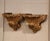Decorate a wall with this elegant pair of antique walnut corbels. Crafted in Southern France, circa 1860, each fruitwood...