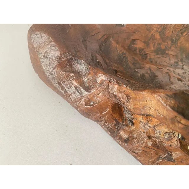 1960s Brutalist Root Wood Vide Poche or Bowl, France, 1960s For Sale - Image 5 of 12