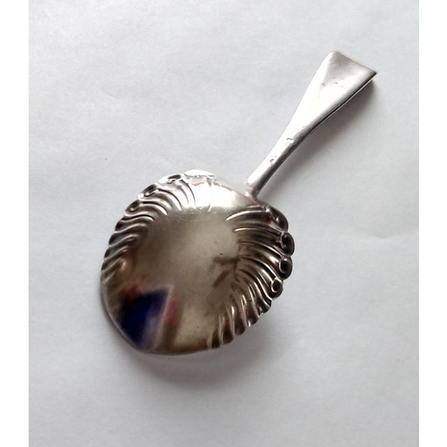 Rogers Bros. silverplate sugar spoon in the Assyrian Head pattern is circa late 1800s. The design features a face with...