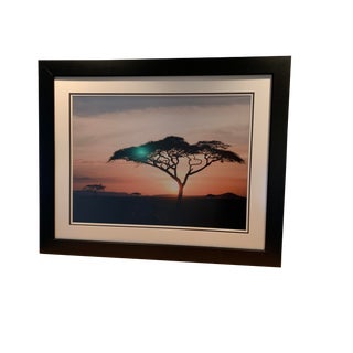 Large Color Photograph, Framed of African Landscape, 1980's For Sale