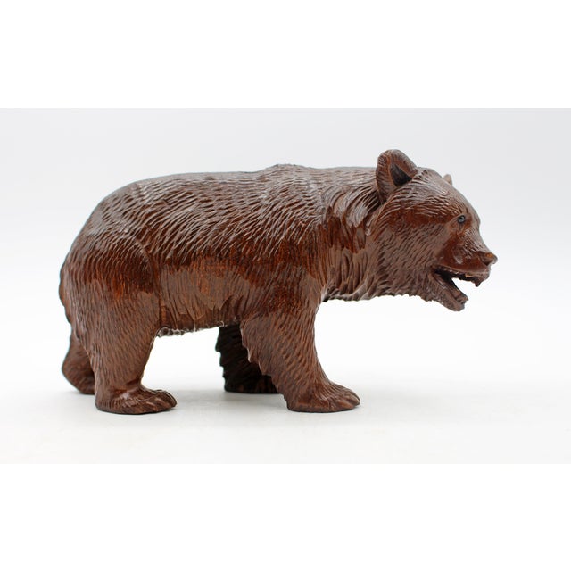 Circa 1900 small-medium size strolling Black Forest Bear, Swiss. Rich brown color. Very good face - small, bead eyes....
