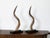 A pair of European midcentury horns mounted on stepped bases. Capturing our attention with their great presence, each of...