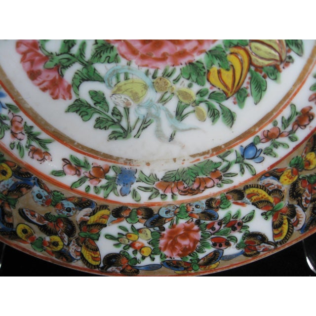 Chinese Famille Rose Butterfly Plate, 1870-80 For Sale - Image 10 of 12