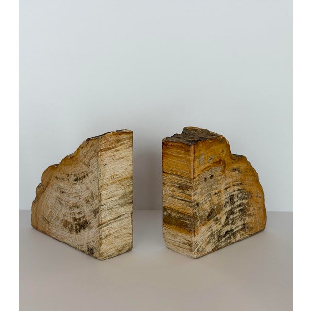 Gold Vintage Sculptural Petrified Wood Bookends - A Pair For Sale - Image 8 of 11