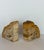 Gold Vintage Sculptural Petrified Wood Bookends - A Pair For Sale - Image 8 of 11