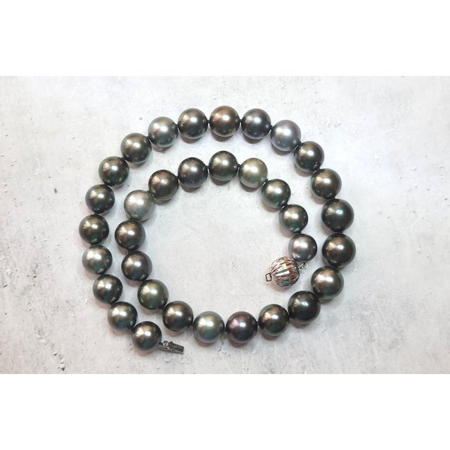 South Sea Tahitian Black Pearl Necklace With 14k White Gold Clasp For Sale In Cleveland - Image 6 of 9