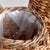 Kenneth Ludwig Chicago Arkan Baskets, Set Of 2 For Sale - Image 4 of 5