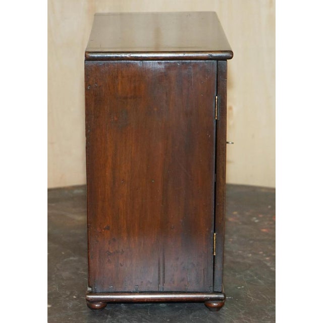 Georgian Sheraton Collectors Cabinet, 1820s For Sale - Image 12 of 18