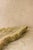 Premium Onyx Tray with Raw Edge For Sale - Image 6 of 12