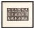 Eadweard Muybridge, Black and White Women in Motion Study, 1982, Photograph, Framed For Sale