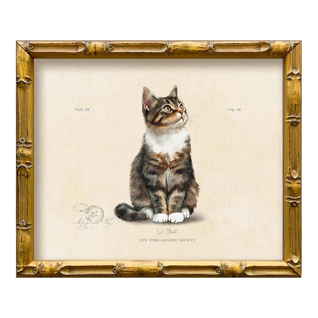 Reproduction Art Print of Vintage “Le Chat" Illustration (6), Framed For Sale