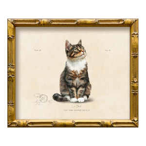 Reproduction Art Print of Vintage “Le Chat" Illustration (6), Framed
