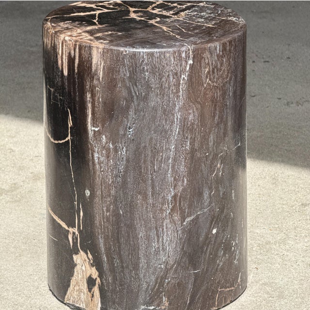 Side Table in Black Petrified Wood with Beige Fine Mesh Pattern For Sale - Image 16 of 18