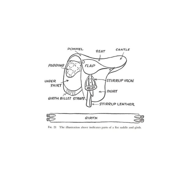 "America's Riding Horses a Guide to All Breeds for the Amateur" 1958 Orcutt, Capt. Harry P., Orcutt, Ben Avis For Sale - Image 4 of 12