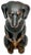 Outstanding & Very Rare Large Vintage Cast Iron "Begging Dachshund" Signed by Maker & Dated 1931 - 11 Inches Tall For Sale - Image 14 of 18