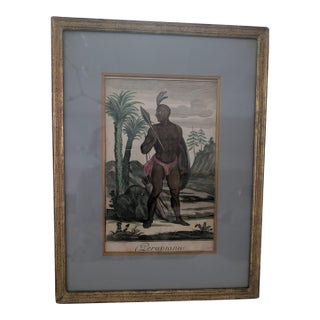 Antique 18thC Jeremias Wolff Hand-Colored Etching Peruvianus For Sale