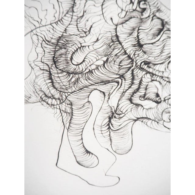 Hans Bellmer, Fantastic Creature, 20th Century, Original Etching For Sale - Image 5 of 7