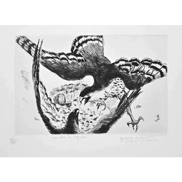 Gérard Cochet, Fight, Original Etching, Early 20th Century For Sale