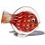 Mid 20th Century Vintage Murano Red Orange White Gold Flecks Italian Art Glass Flat Fish Figure Sculpture Paperweight For Sale - Image 5 of 11