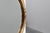 Art Deco Oval Gilt Oak Mirror, Belgium, 1920s For Sale - Image 6 of 11