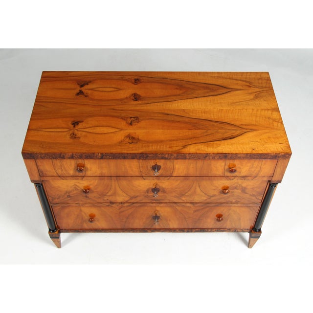 Biedermeier Chest of Drawers, 1820s For Sale - Image 10 of 14